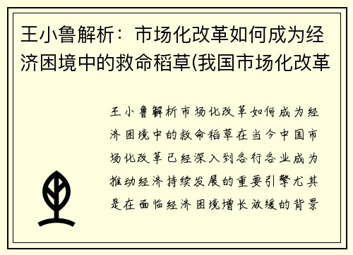 王小鲁解析：市场化改革如何成为经济困境中的救命稻草(我国市场化改革主要经验)